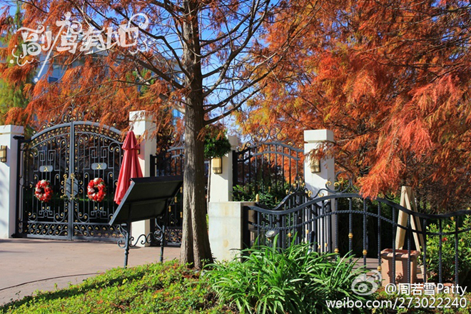 甜美女生游台中 拍摄写真是重点!