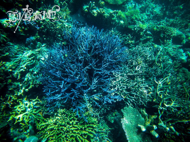 沙滩上的性感女神 海洋中的泳装美人鱼