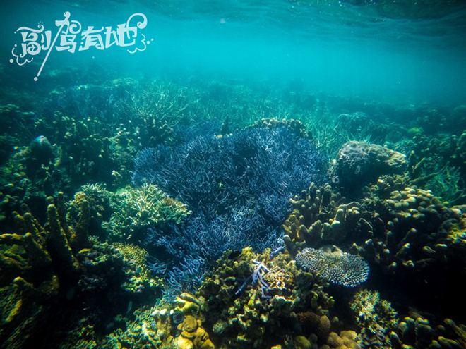 沙滩上的性感女神 海洋中的泳装美人鱼