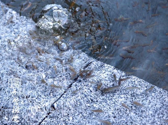 畅快试驾游 全新Q7 X1全体验