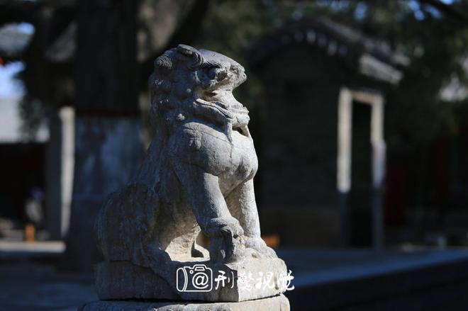 畅快试驾游 全新Q7 X1全体验