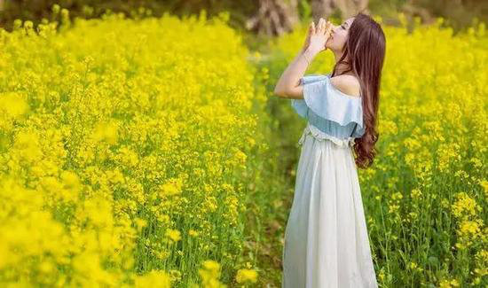 春来自驾赏花去 陕西最美十大赏花地