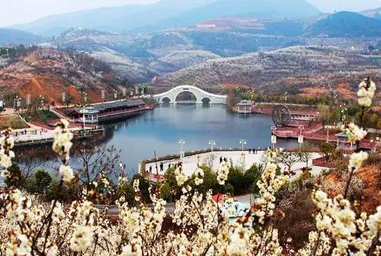 春来自驾赏花去 陕西最美十大赏花地