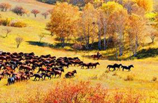 自驾要当心 国内最黑的十三个旅游景点
