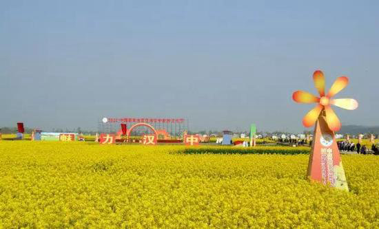 春来自驾赏花去 陕西最美十大赏花地