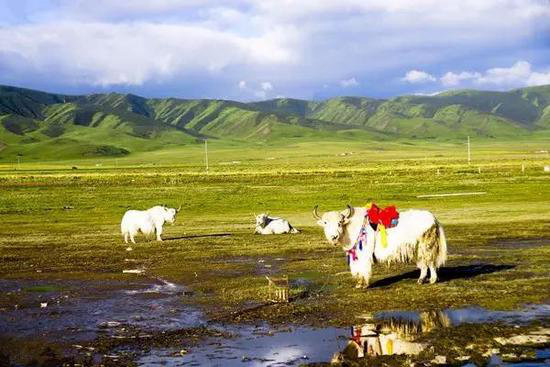 自驾旅行界的奥斯卡奖 中国入围8处!