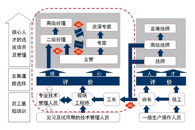 一汽大众_一汽大众2018收入(3)