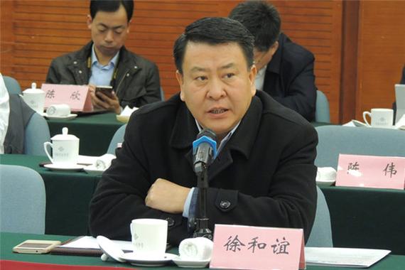 徐和谊:骗补形如耗子屎 产业做强仍需抱团