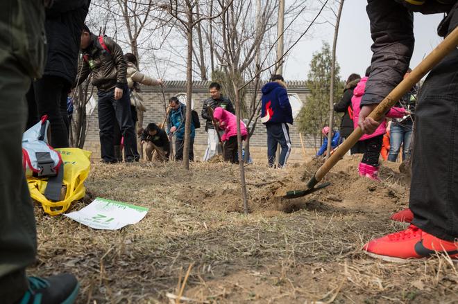 2016植树节 1039行动派电动出行守护蓝天