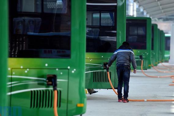 补贴加码 5年内新能源公交车数量翻两番