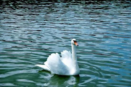 自驾游想要高逼格?快来看看这些建议哦