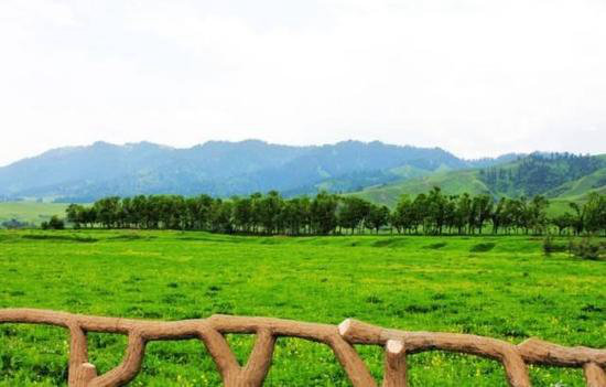 国内8个最浪漫的自驾蜜月圣地(上)