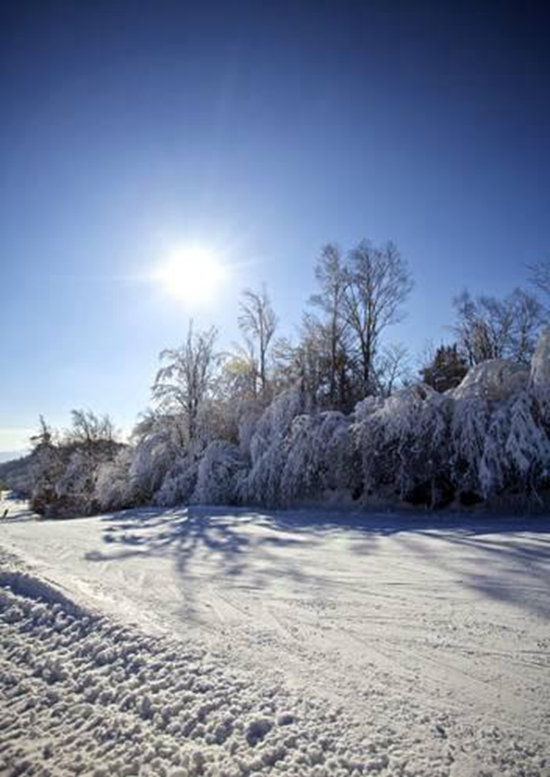 国内8个最浪漫的自驾蜜月圣地(上)