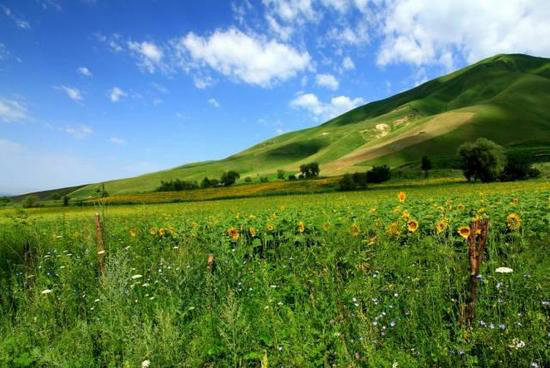 国内8个最浪漫的自驾蜜月圣地(上)
