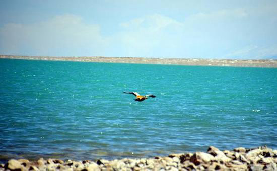 国内8个最浪漫的自驾蜜月圣地(上)