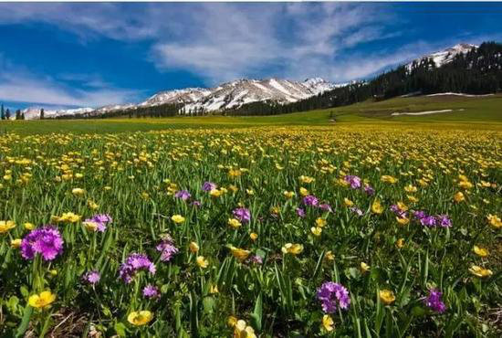 国内8个最浪漫的自驾蜜月圣地(上)