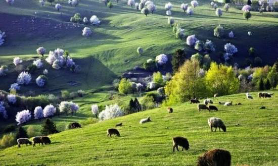 国内8个最浪漫的自驾蜜月圣地(上)