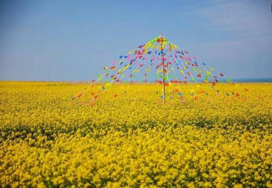 国内8个最浪漫的自驾蜜月圣地(上)
