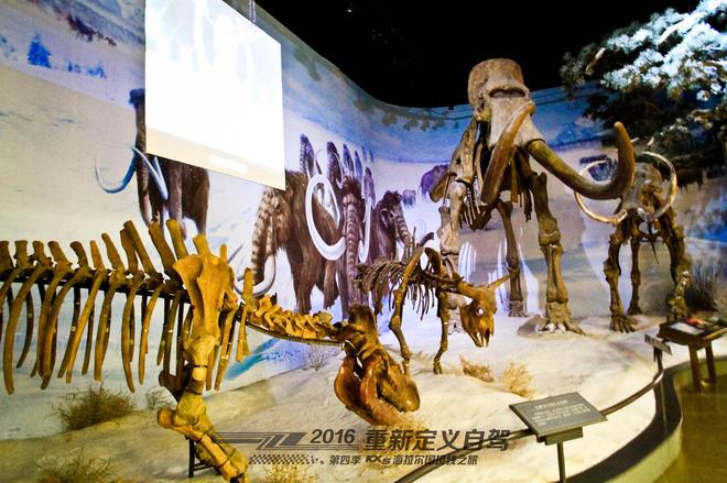 重新定义自驾 起亚KX5海拉尔国境线之旅