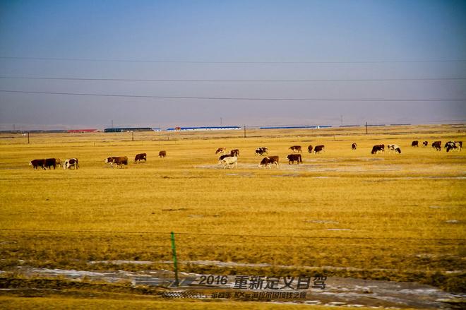 重新定义自驾 起亚KX5海拉尔国境线之旅