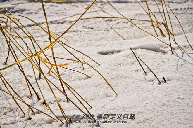 重新定义自驾 起亚KX5海拉尔国境线之旅