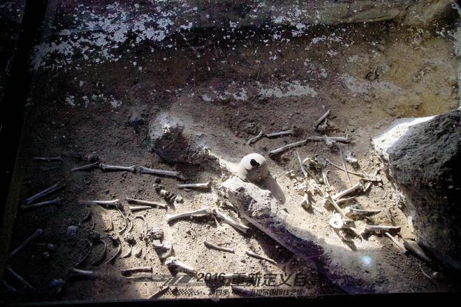 重新定义自驾 起亚KX5海拉尔国境线之旅