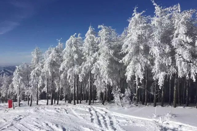 小鹅带我们体验华北周边自驾和白雪的故事
