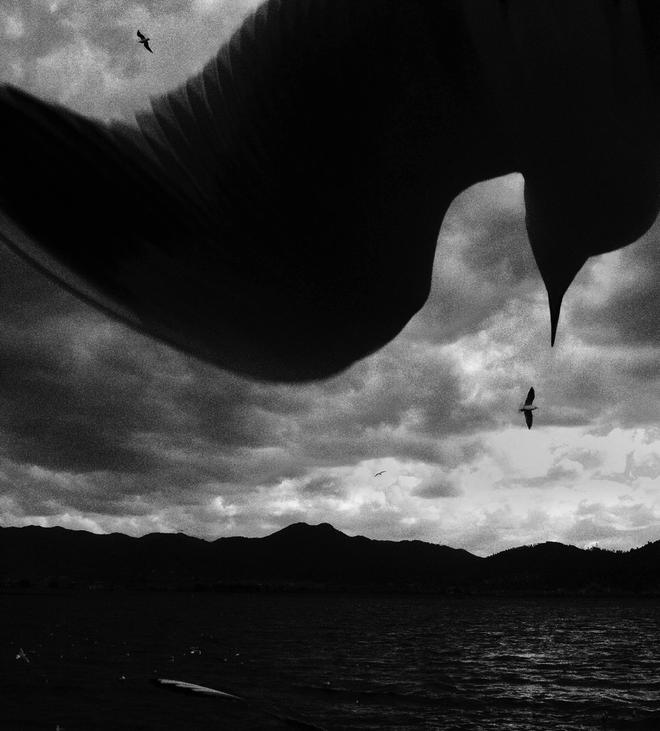 英雄识英雄,向专业致敬!