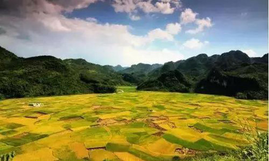 4月国内外最美春天 就应该自驾去这些地方