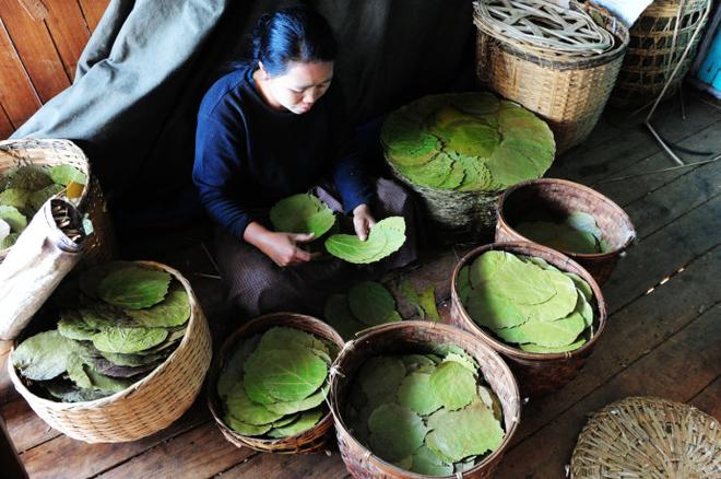 Going抽6块钱50根的手工雪茄 吃油条泡奶茶