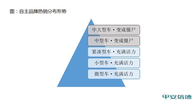 自主品牌热销分布形势
