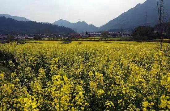 只有1%的人去过!国内精致小众自驾旅行地