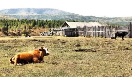 只有1%的人去过!国内精致小众自驾旅行地