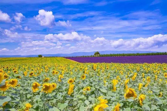 异域风情!4月国外最佳自驾旅行地TOP5