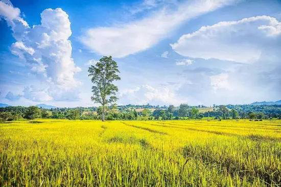 异域风情!4月国外最佳自驾旅行地TOP5