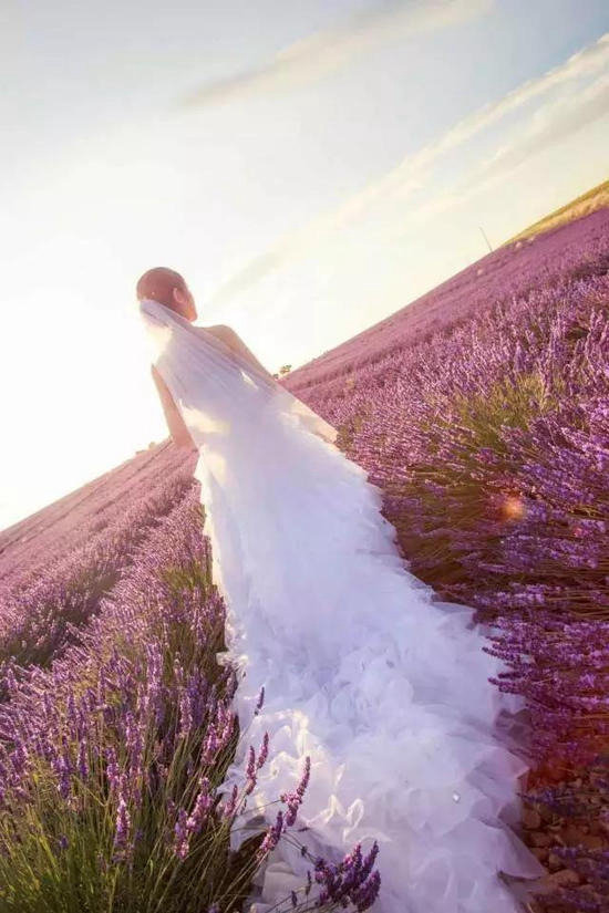 异域风情!4月国外最佳自驾旅行地TOP5