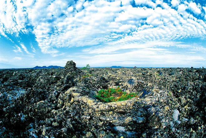 黑、蒙“4+1”旅游联盟携手呈现锦绣北国