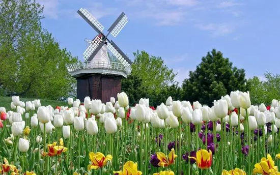 异域风情!4月国外最佳自驾旅行地TOP5