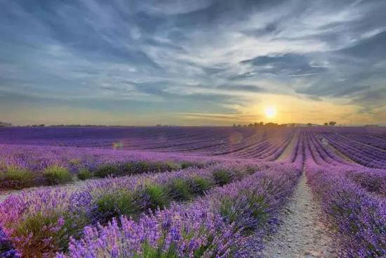 异域风情!4月国外最佳自驾旅行地TOP5