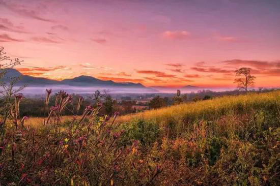 异域风情!4月国外最佳自驾旅行地TOP5