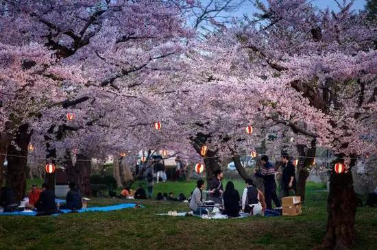 异域风情!4月国外最佳自驾旅行地TOP5