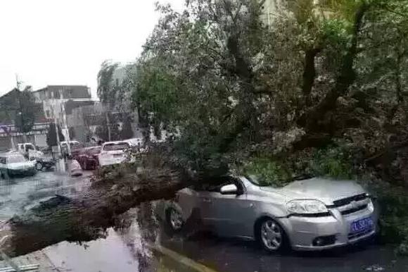 夏天到了.开车多走点心……以免中招