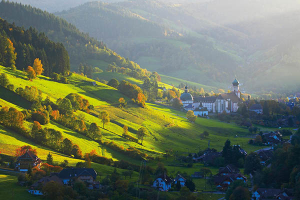 你见过地里“种”出来的汽车吗?