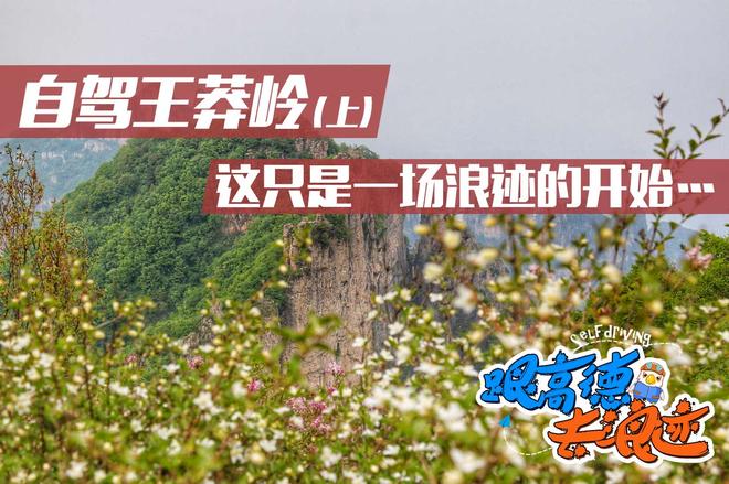 自驾王莽岭（上） 这只是一场浪迹的开始…