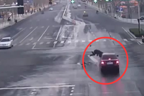 视频：司机撞人就逃逸！路人冷漠很寒心