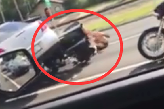 视频：国外路怒太可怕！撞翻摩托碾压人