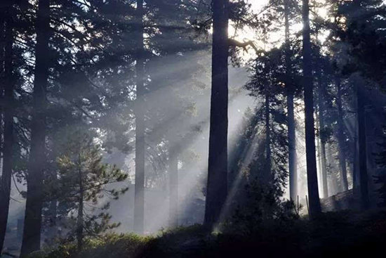 加州9大绝美国家公园 梦幻般的自驾之旅