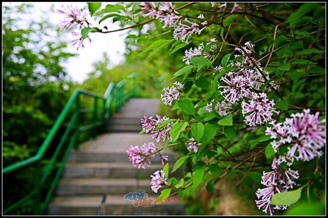 大自然的鬼斧神工 浪迹王莽岭大峡谷