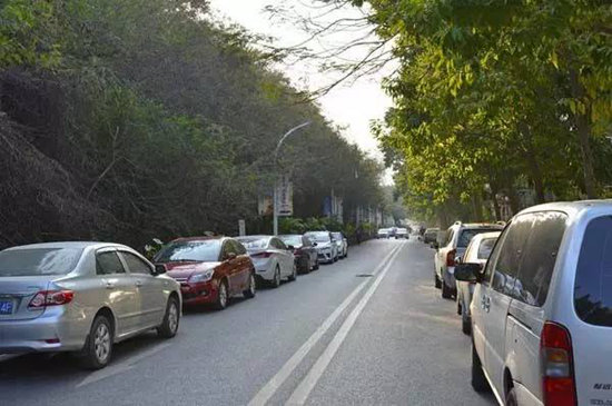 看到交警给你的车拍照 一定记住要这样做!