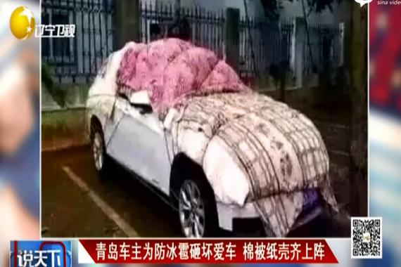视频：害怕冰雹砸车！车主各出奇招